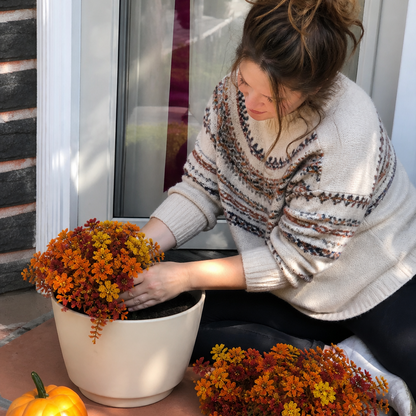 Forever Fall Flowers | 6-Pack