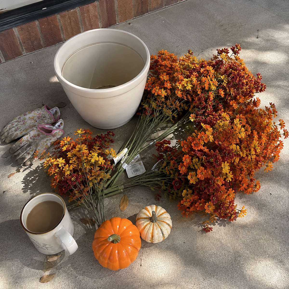 Forever Fall Flowers | 6-Pack